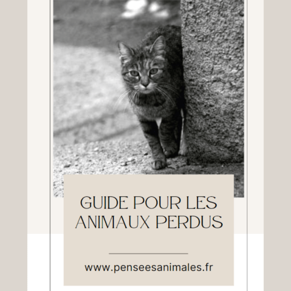 Guide pour les animaux&nbsp;perdus